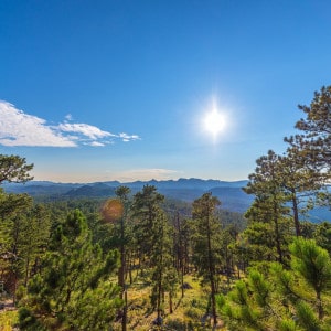 Custer State Park Landscape